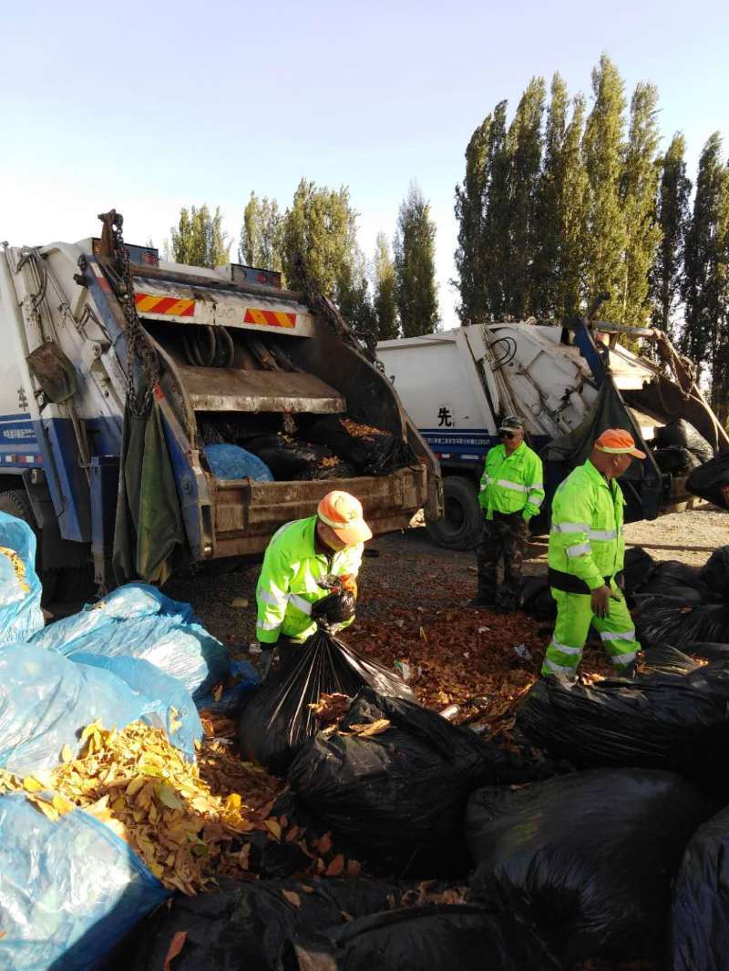 净化城市环境 喜迎元旦佳节